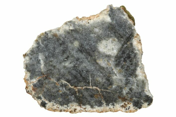 Lunar Meteorite ( g) Slice - Bechar #348213